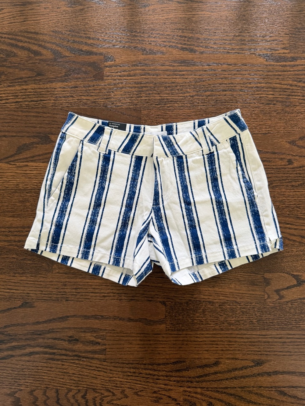 New York & Company Blue and White Vertical Stripe Shorts